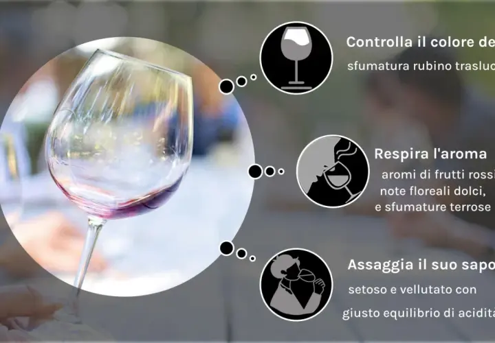 Il bicchiere mostra il pinot nero colore rubino traslucido, invitando a respirarne l'aroma e assaggiarne il sapore.