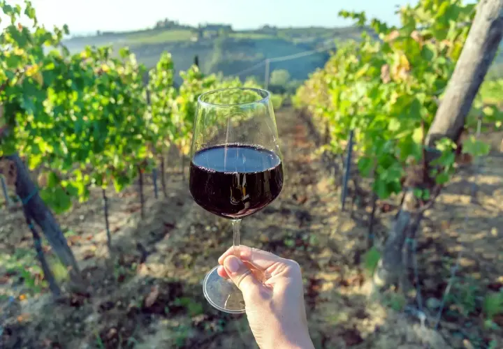 Un bicchiere di vino rosso in una mano, con la vite che si estende sullo sfondo di un vigneto toscano al tramonto.