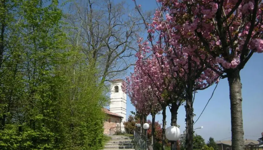 Stradella fiorita con ciliegi rosa, un campanile bianco e una scalinata di ciottoli. Un luogo incantevole da vedere.
