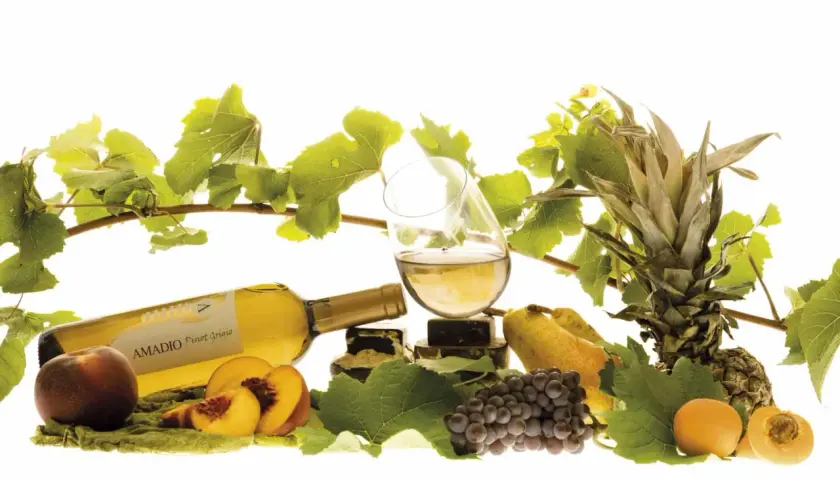 Un bicchiere di Pinot Grigio, fermo o frizzante, accanto a frutta fresca e grappoli d'uva.