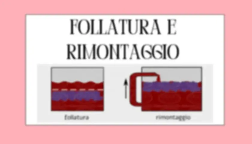Illustrazione della follatura e rimontaggio, tecniche chiave nella vinificazione in rosso per estrarre colore e aromi.
