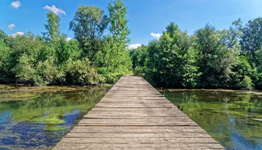 Un pontile in legno conduce verso un bosco lussureggiante, ideale per scoprire cosa vedere vicino a Vigevano.