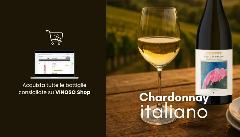 Calice di Chardonnay italiano, con bottiglia e vigneti sullo sfondo. Scopri le caratteristiche di questo vino.