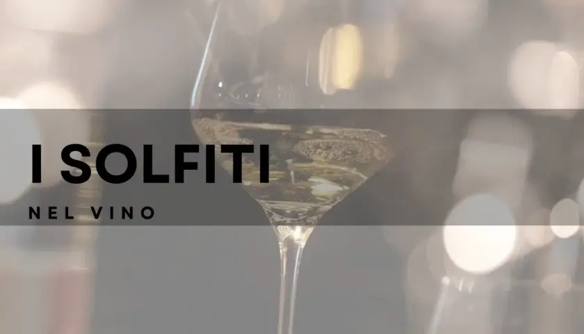 I solfiti nel vino: cosa sono e perché sono importanti per la conservazione. Un calice di vino bianco con bollicine.