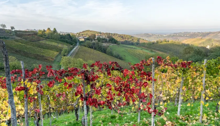 Vigneti con foglie rosse e gialle in autunno, con dolci colline e case sparse, un paesaggio tipico di Canneto Pavese.