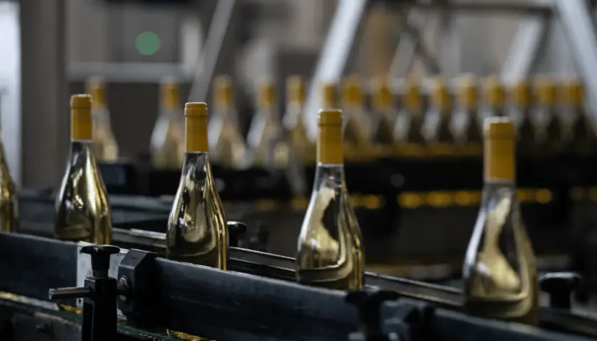 Bottiglie di vino bianco imbottigliato all'origine su un nastro trasportatore in una cantina.