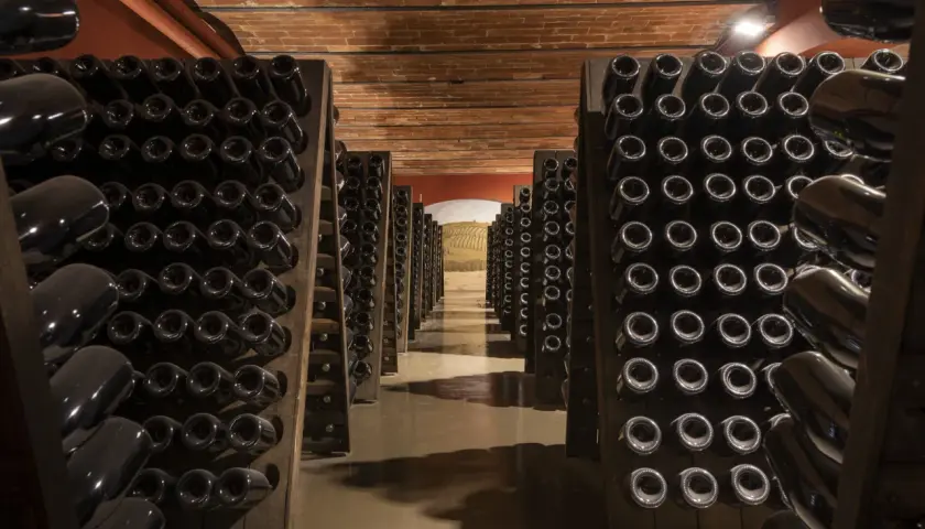Cantine con bottiglie di vino scuro disposte in rastrelliere, pronte per il remuage.
