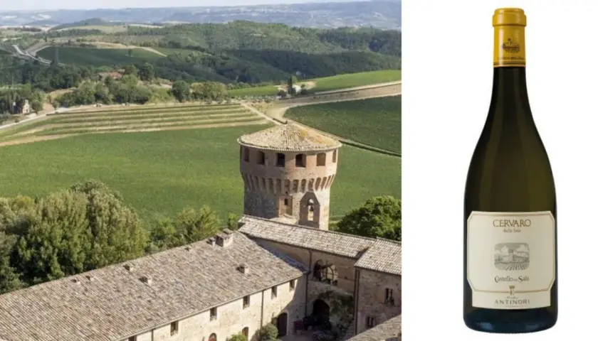 Paesaggio toscano con vigneti e torre medievale, accanto a una bottiglia di Cervaro della Sala, il migliore vino bianco.