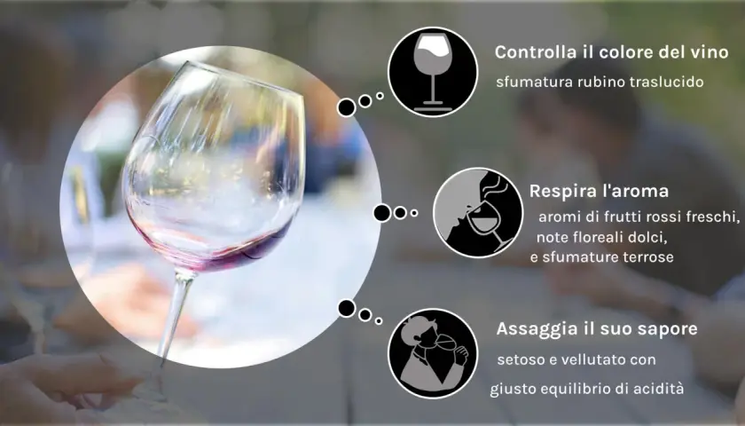 Il bicchiere mostra il pinot nero colore rubino traslucido, invitando a respirarne l'aroma e assaggiarne il sapore.
