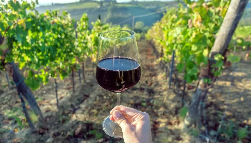 Un bicchiere di vino rosso in una mano, con la vite che si estende sullo sfondo di un vigneto toscano al tramonto.