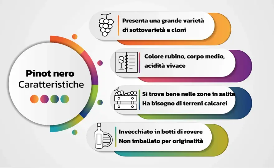 Pinot Nero italiano - Guida alla scelta perfetta