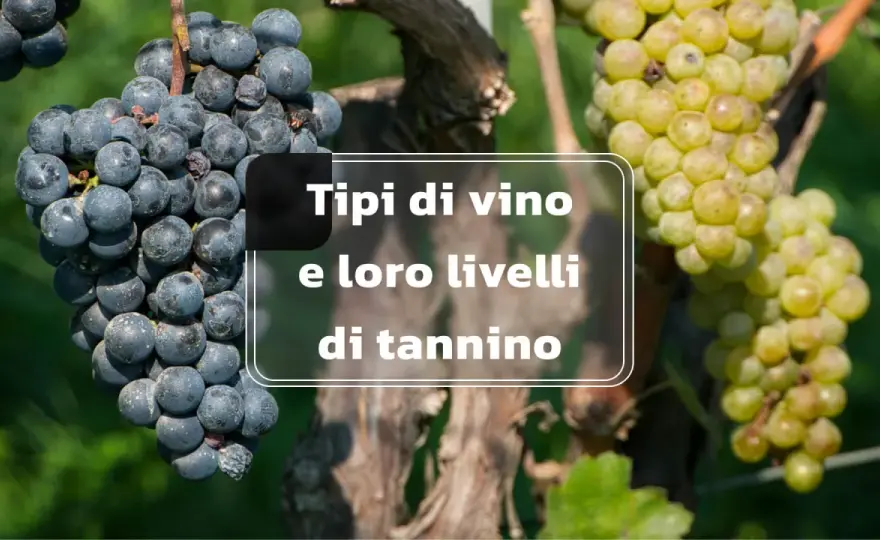 Tannini nel vino - come riconoscerli e abbinarli