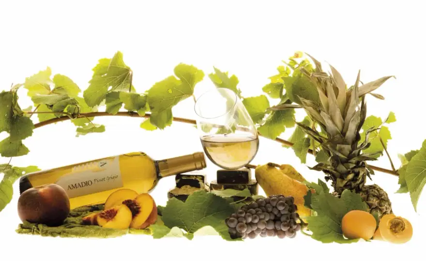 Pinot Grigio fermo o frizzante? La risposta che cercavi