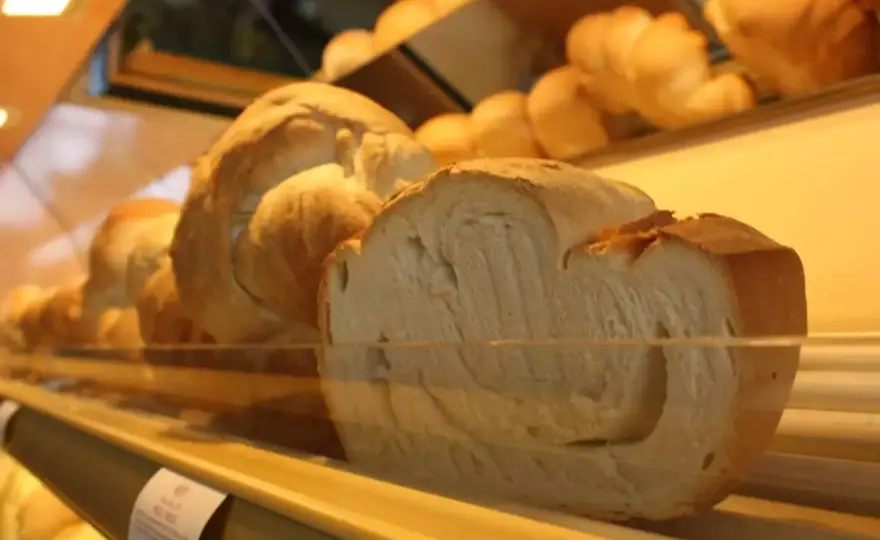 Miccone pavese - Guida completa al pane dell'Oltrepò