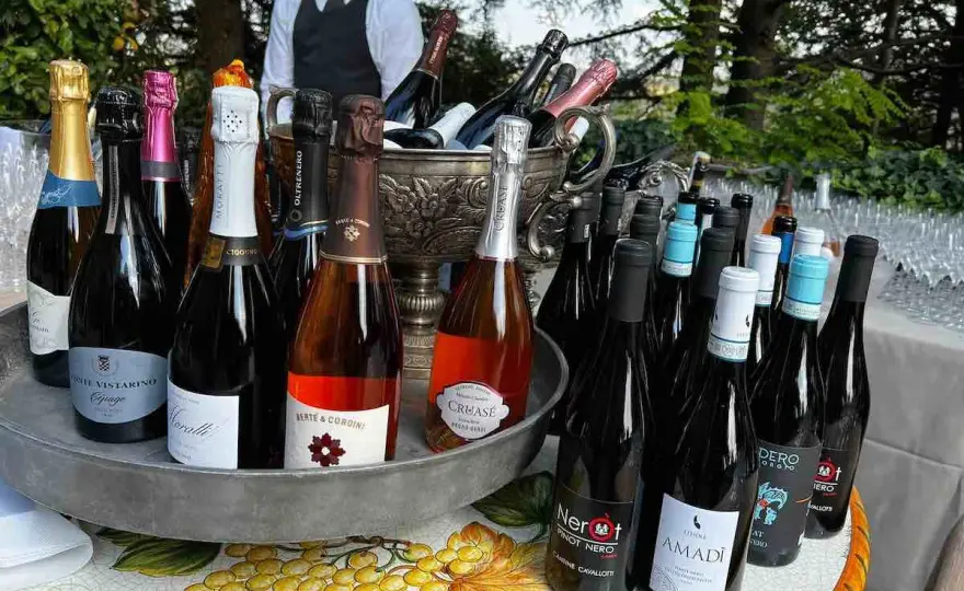 Pinot Nero Oltrepò - Guida completa: stili, abbinamenti, segreti