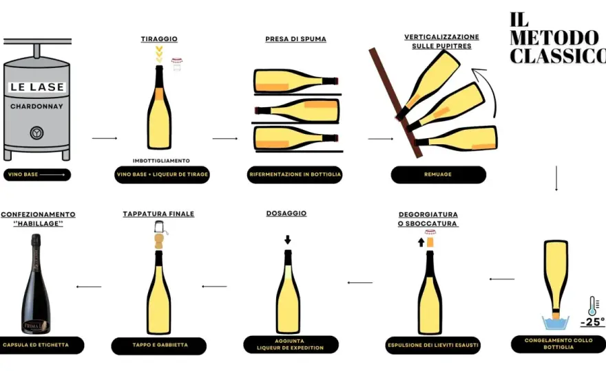 Produzione del vino - Le fasi chiave per un vino eccellente