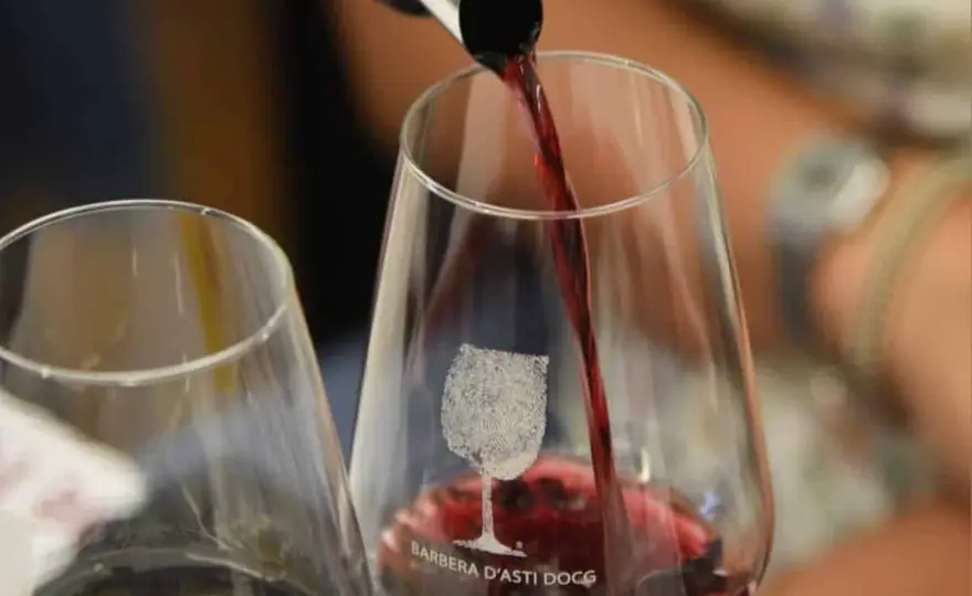 Barbera migliore - Guida definitiva per sceglierla e abbinarla