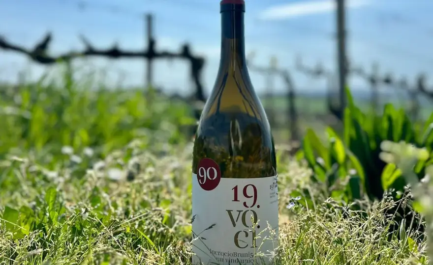 Incrocio Bruni 54 - Guida completa al vino bianco che sorprende