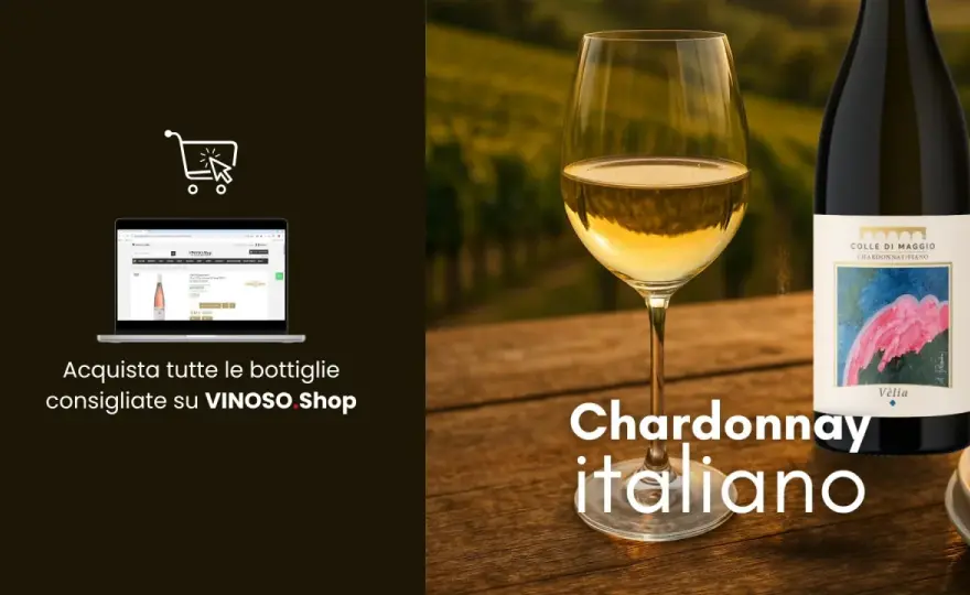 Chardonnay: la guida definitiva per capirlo e sceglierlo