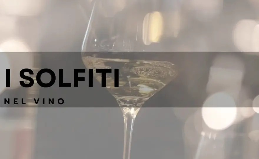 Solfiti nel vino - Verità, etichetta e degustazione consapevole