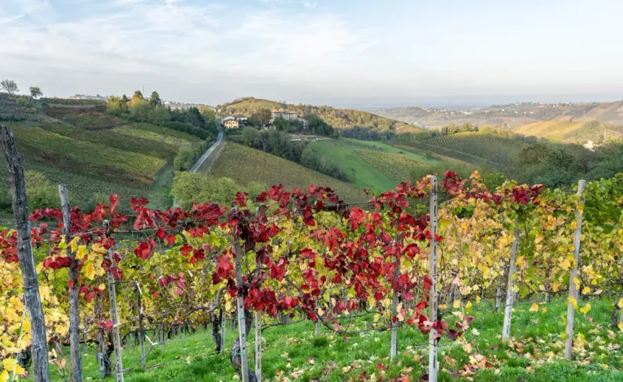 Canneto Pavese - Guida completa al borgo del Buttafuoco