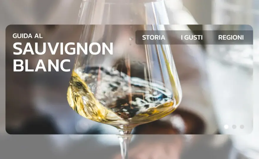 Sauvignon Blanc - Guida completa per un acquisto consapevole