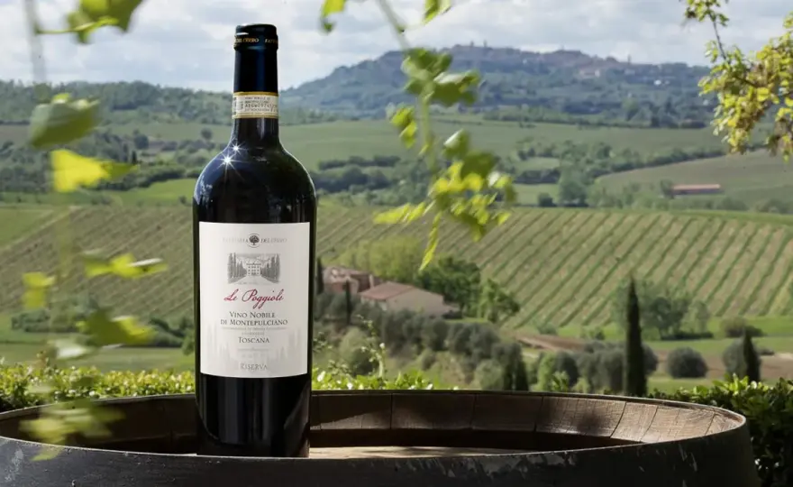 Montepulciano - Guida completa per scegliere e capire questo vino