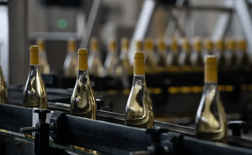 Imbottigliato all'origine - Cosa significa davvero per il tuo vino?