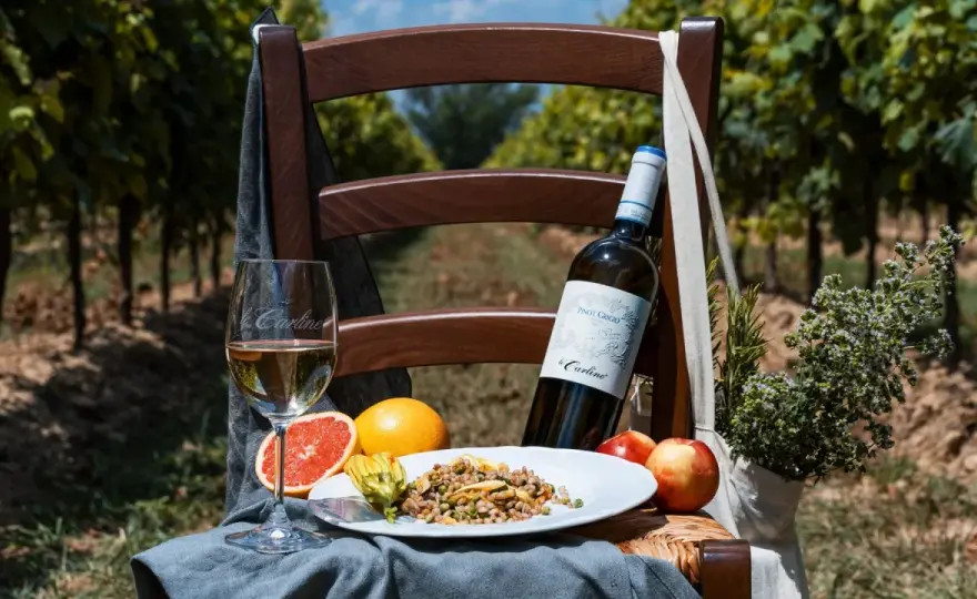 Pinot Grigio - La guida definitiva per riconoscerlo e sceglierlo