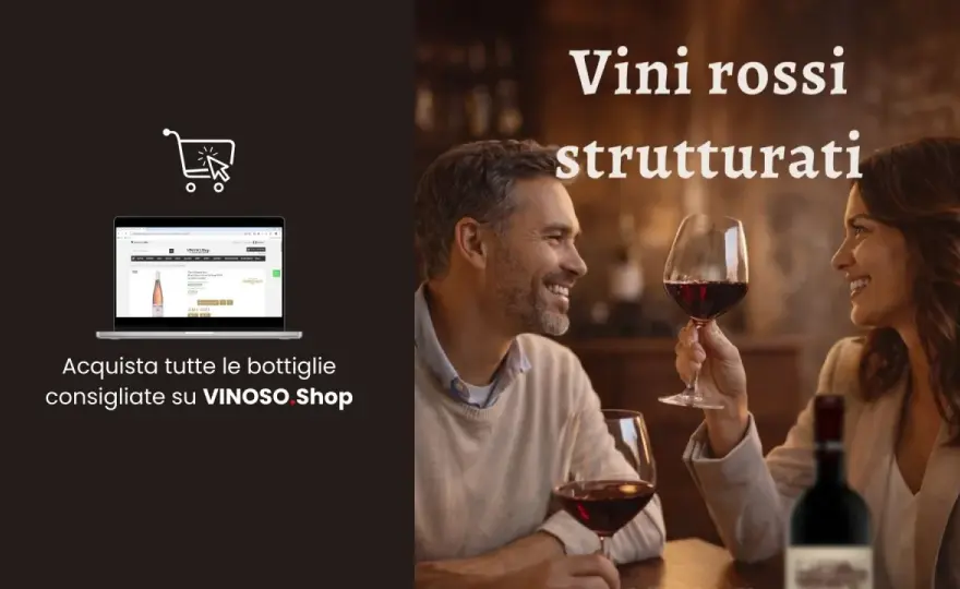 Vini Romani - Guida completa per scegliere il tuo preferito