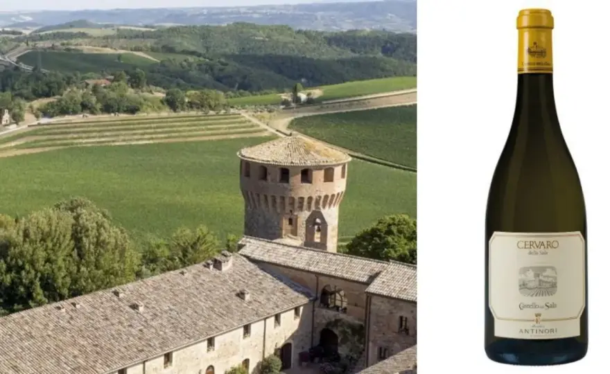 Migliori Vini Bianchi Italiani - Guida alla Scelta Perfetta