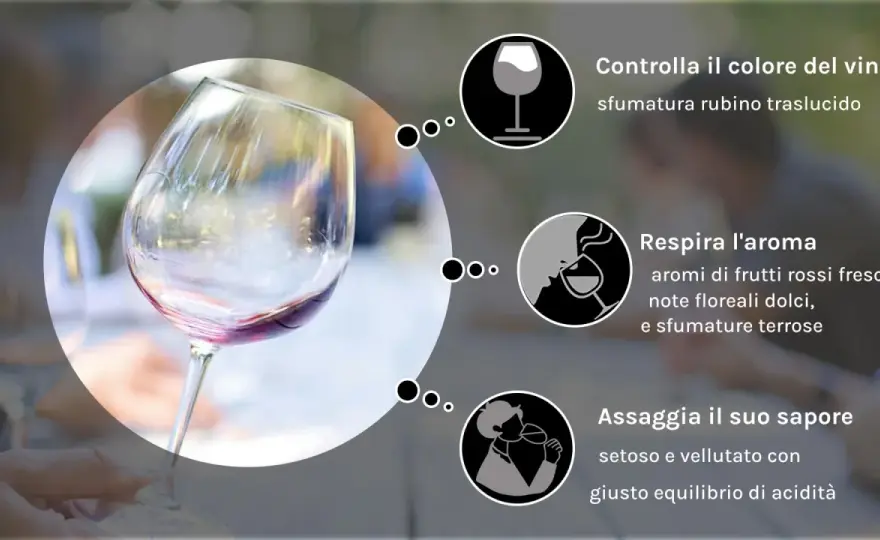 Pinot Nero - Il colore nel calice: guida alla lettura