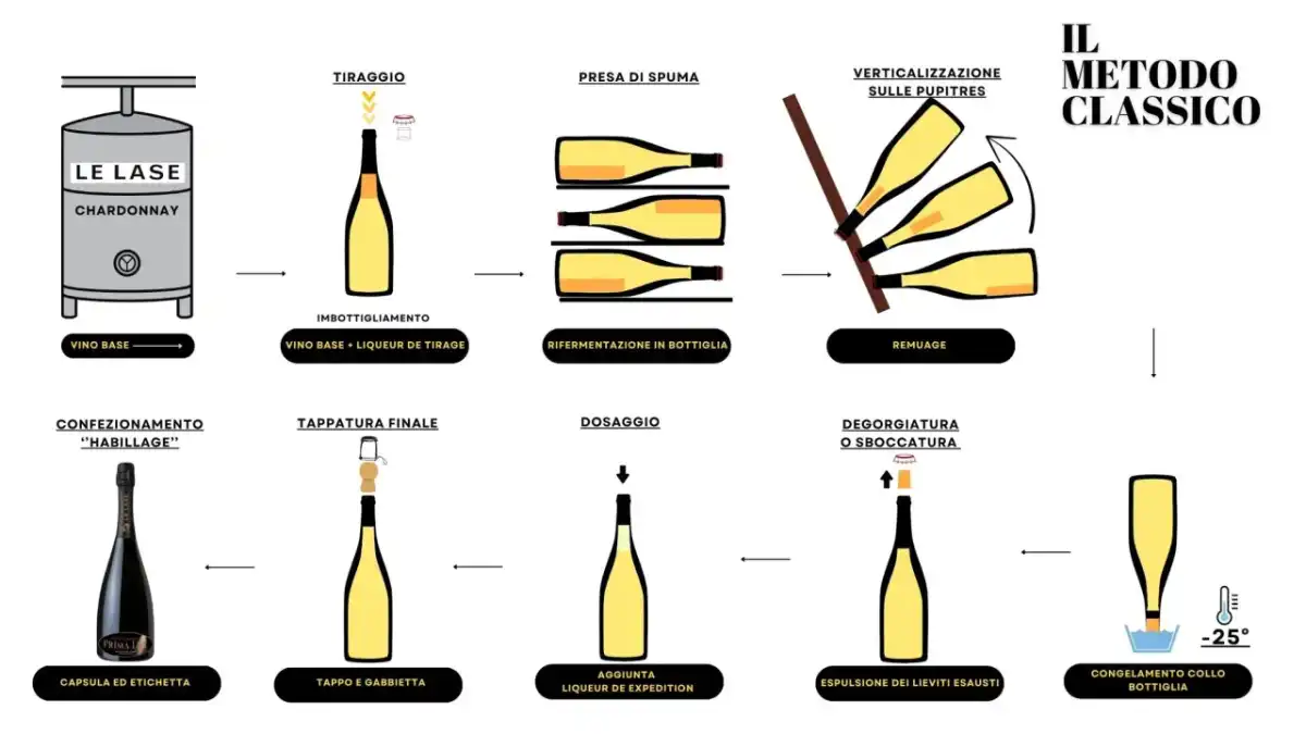 Produzione del vino - Le fasi chiave per un vino eccellente