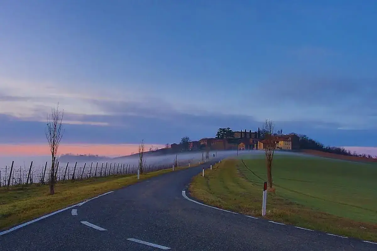 Strada serpeggiante verso un borgo collinare all'alba, con nebbia e un campo di oliva gessi.