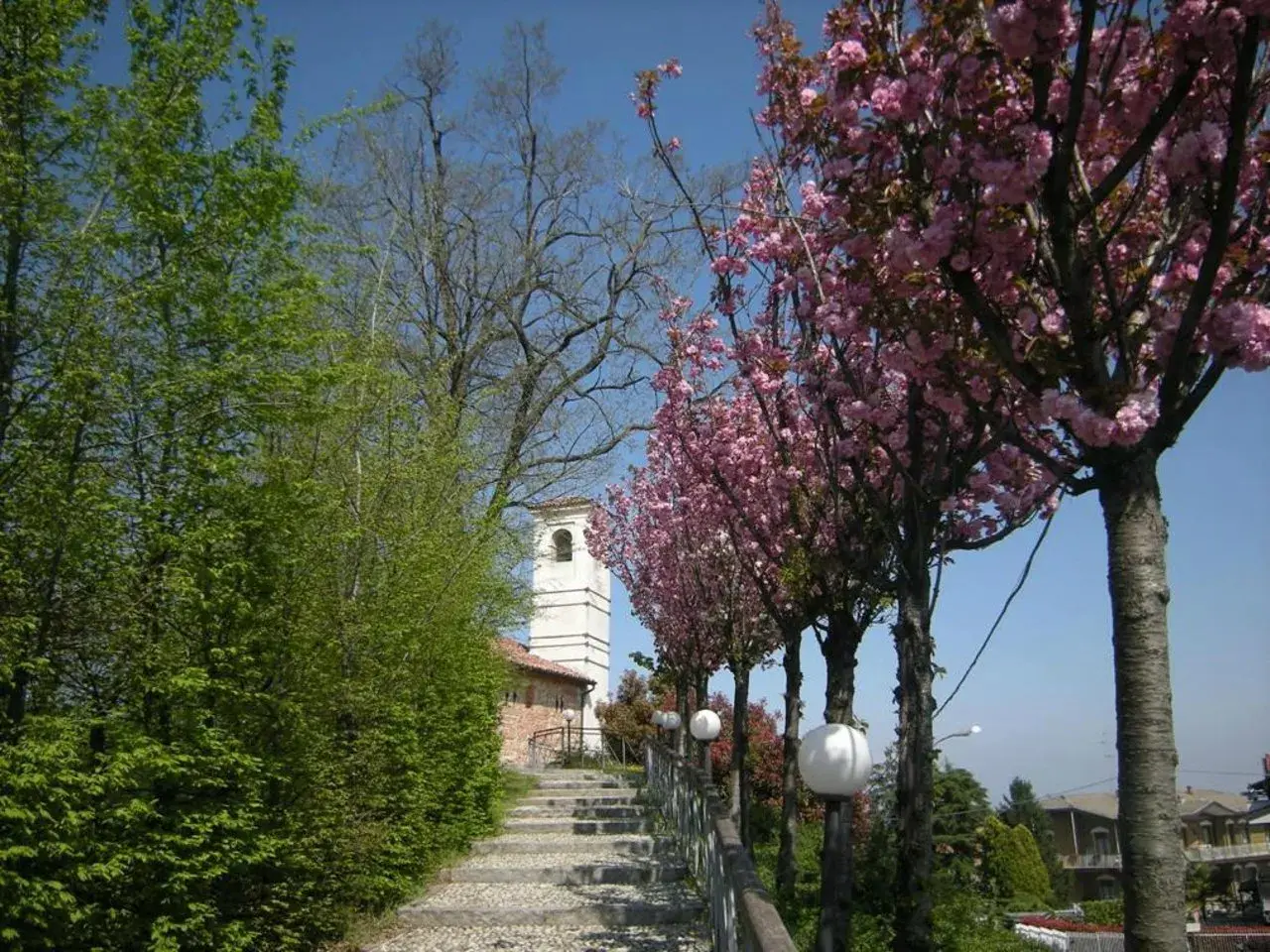 Stradella fiorita con ciliegi rosa, un campanile bianco e una scalinata di ciottoli. Un luogo incantevole da vedere.