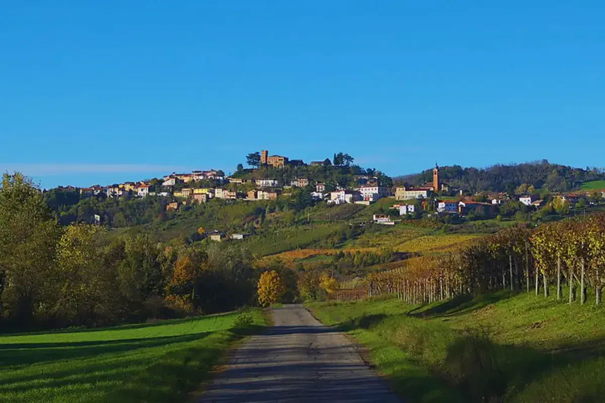 Strada verso Mornico Losana, borgo collinare tra vigneti autunnali e campi verdi, sotto un cielo azzurro intenso.