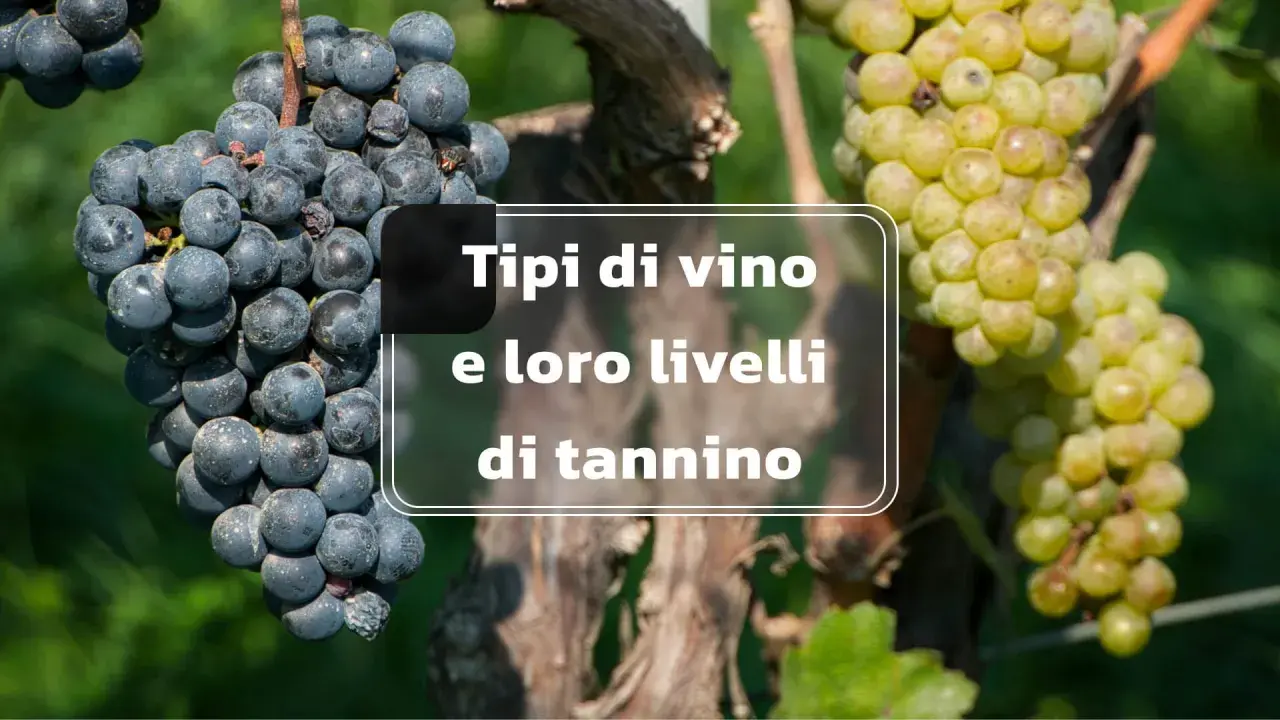 Grappoli d'uva nera e bianca su sfondo verde. Testo: "Tipi di vino e loro livelli di tannino". I tannini sono composti naturali che influenzano il gusto del vino.