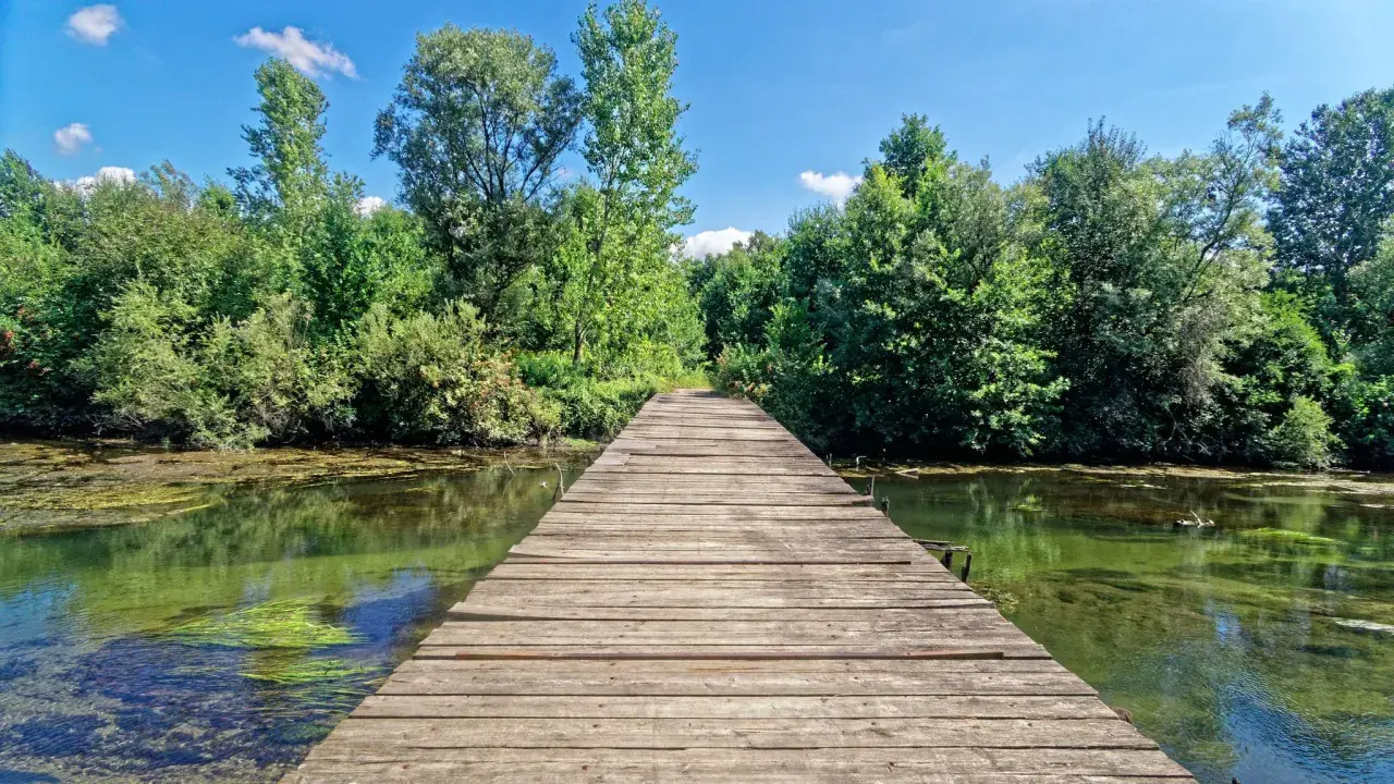 Un pontile in legno conduce verso un bosco lussureggiante, ideale per scoprire cosa vedere vicino a Vigevano.