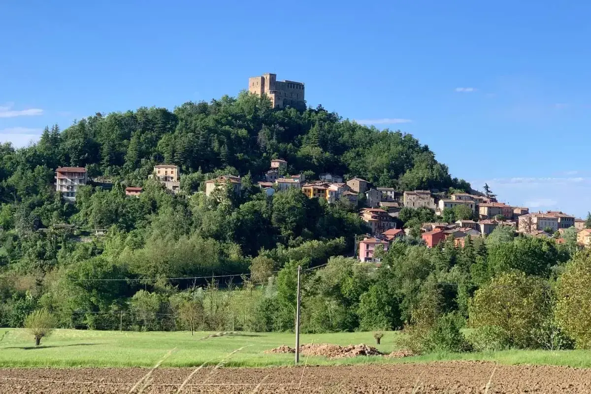 Borgo medievale arroccato su una collina verde, con un castello in cima. Ecco cosa vedere a Zavattarello, un gioiello incastonato tra gli alberi.
