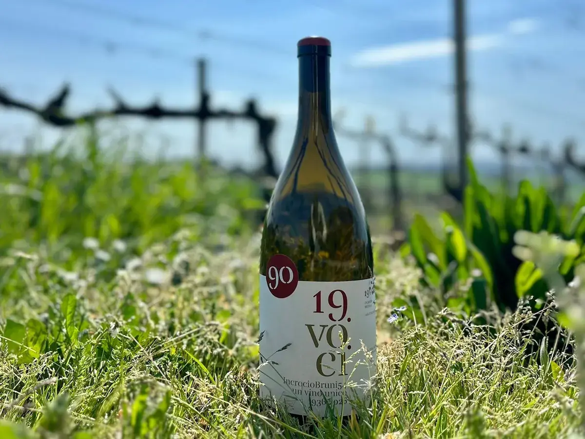 Bottiglia di vino bianco in un campo d'erba, con vigneti sfocati sullo sfondo. L'etichetta recita "Incrocio Bruni".