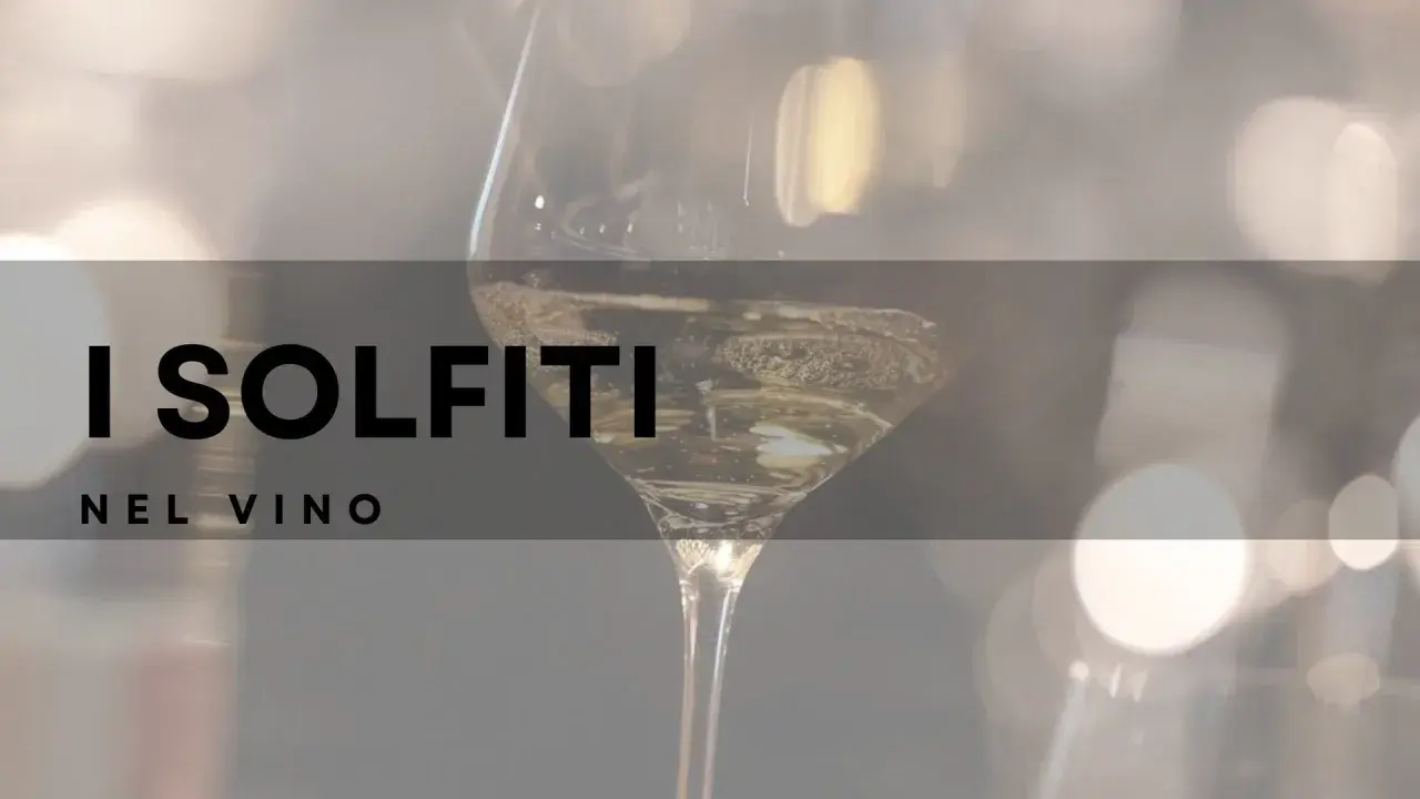 I solfiti nel vino: cosa sono e perché sono importanti per la conservazione. Un calice di vino bianco con bollicine.