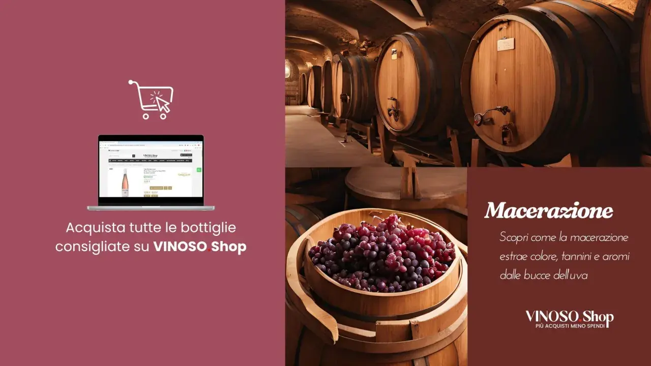 Vini in botte e uva rossa in un tino, con testo su macerazione carbonica e acquisto online su VINOSO Shop.