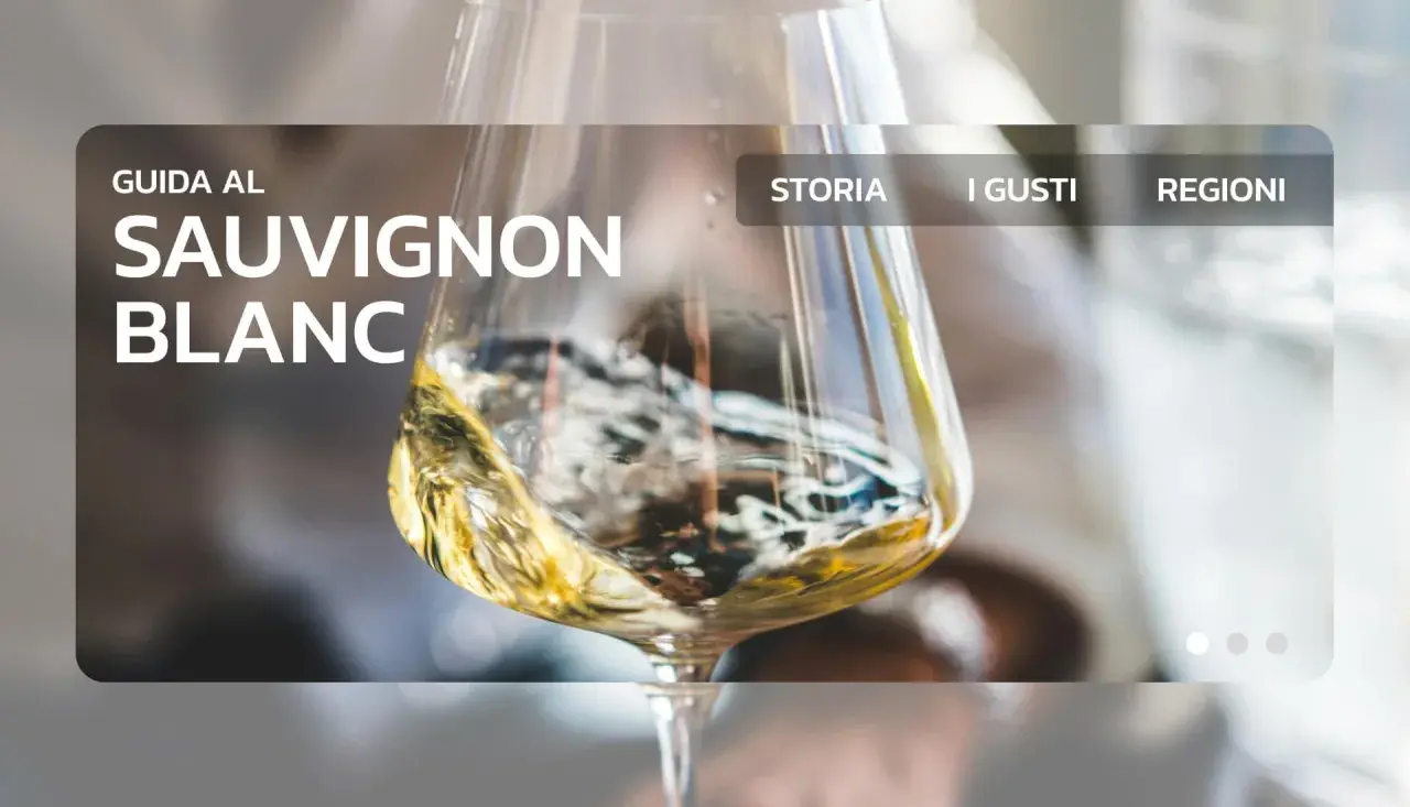 Guida al Sauvignon Blanc: scopri le sue caratteristiche, storia, gusti e regioni.
