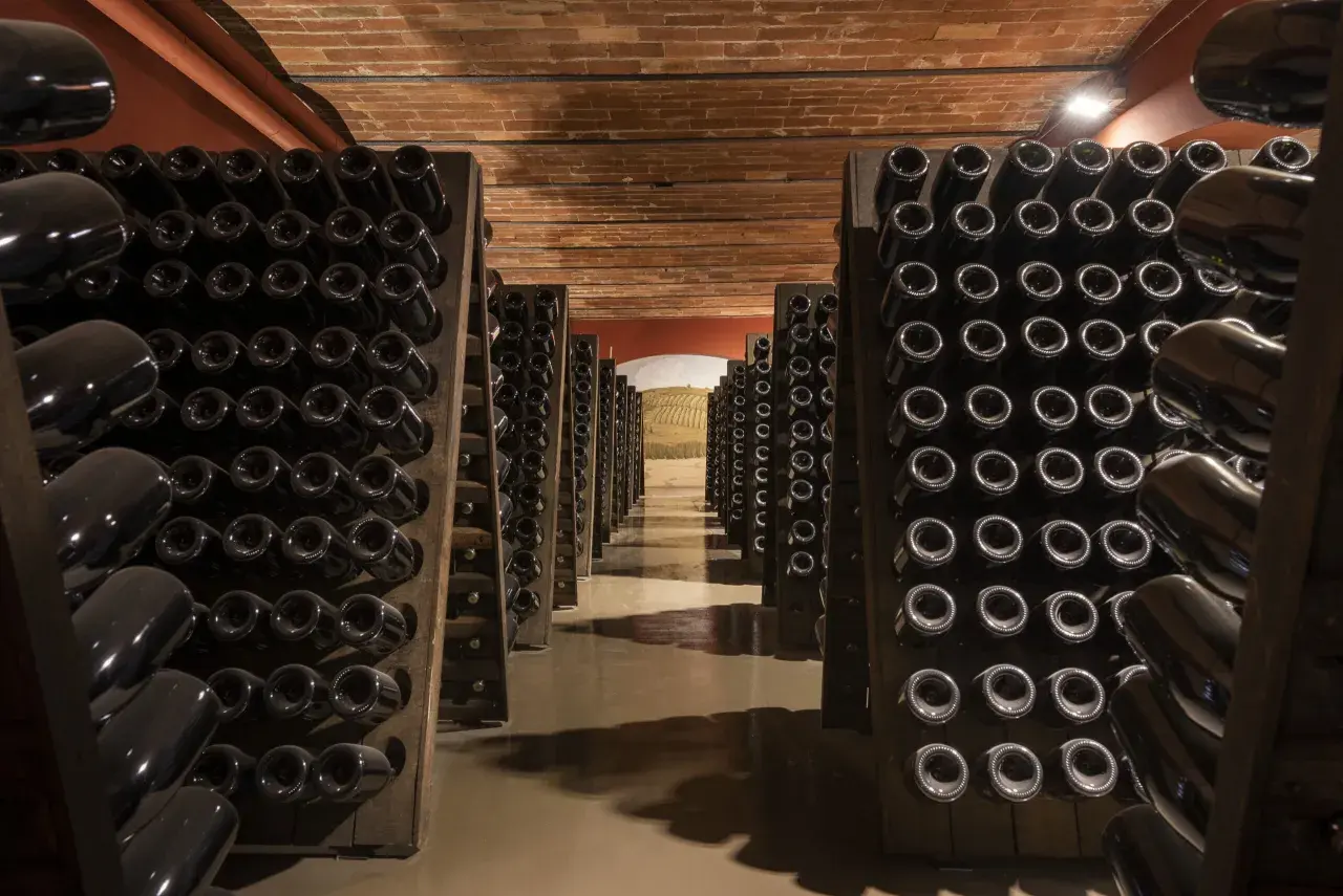 Cantine con bottiglie di vino scuro disposte in rastrelliere, pronte per il remuage.