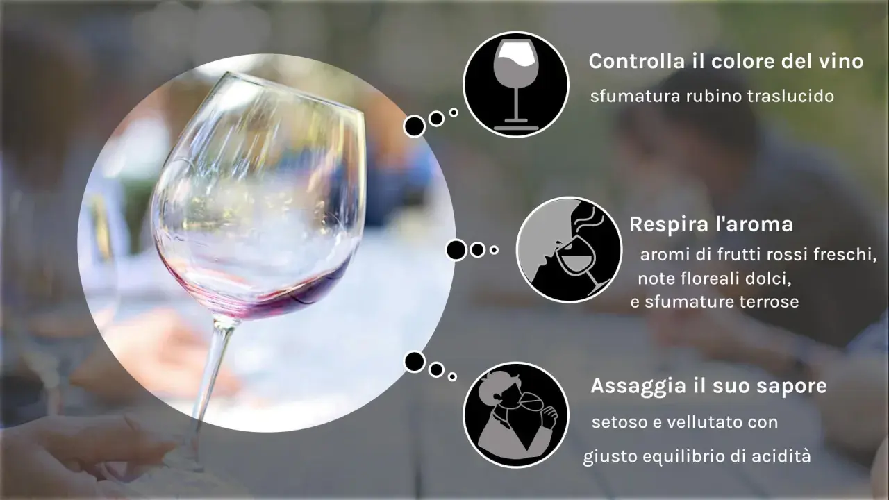 Il bicchiere mostra il pinot nero colore rubino traslucido, invitando a respirarne l'aroma e assaggiarne il sapore.