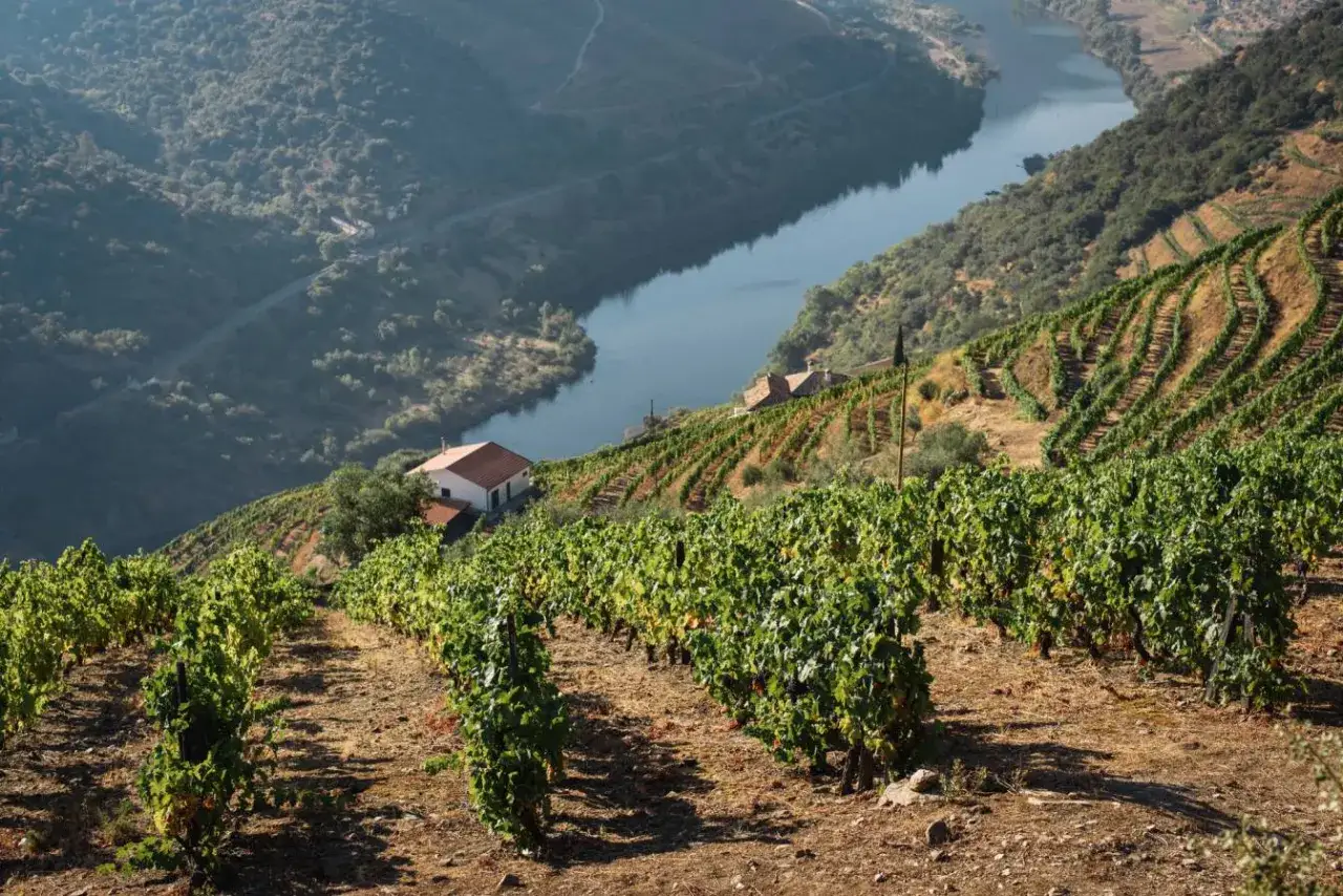 Vigneti terrazzati scendono verso un fiume serpeggiante, con una casa bianca e rossa in mezzo. Il paesaggio evoca la produzione del vino porto.