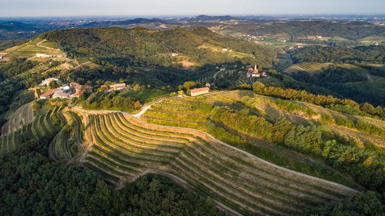 Colline ondulate del Collio, con vigneti terrazzati che si snodano tra boschi rigogliosi. Un paesaggio che promette i migliori vini del Collio.