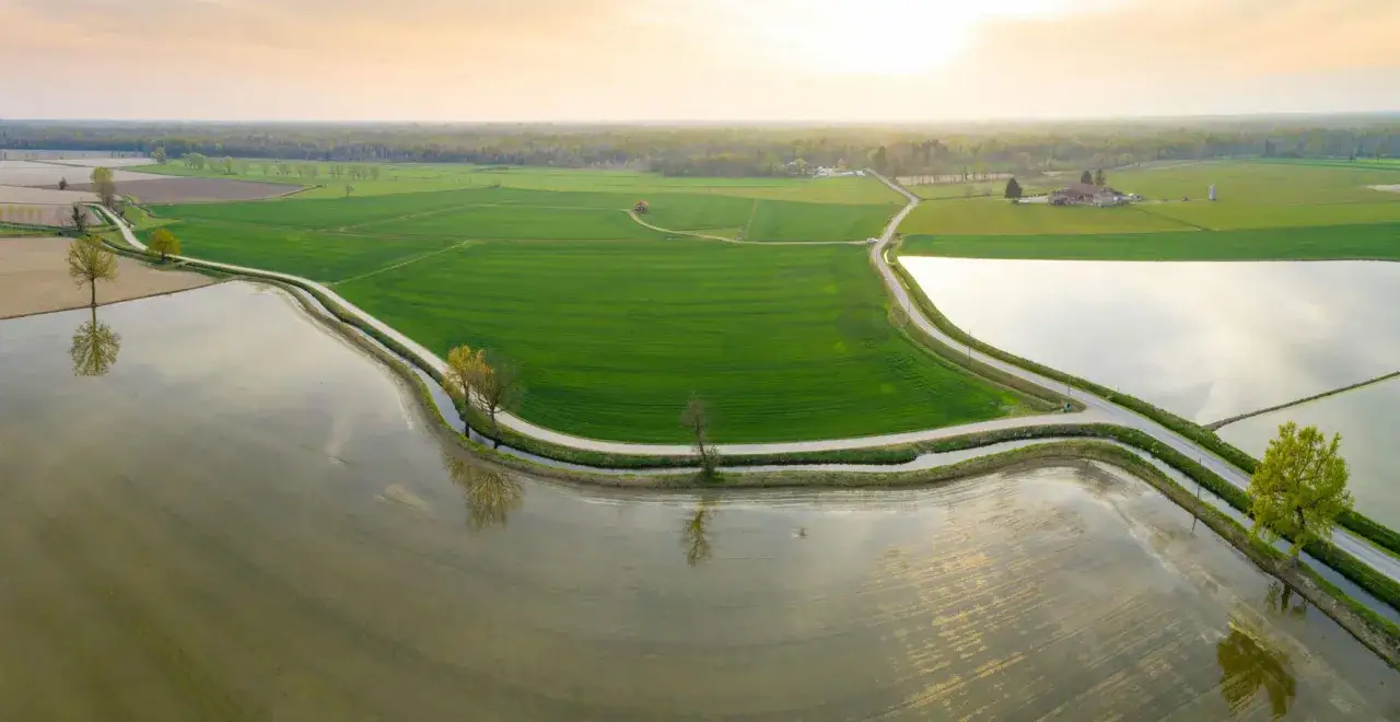 Campi allagati e verdi in Lomellina, un paesaggio da scoprire. Alberi solitari e riflessi sull'acqua creano un'atmosfera serena.