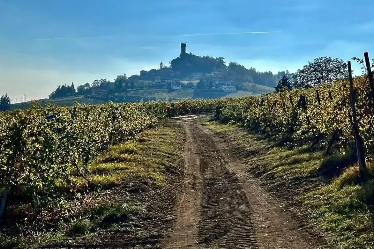 Sentiero tra vigneti dorati che conduce a un borgo con un castello in cima a una collina. Un luogo incantevole, con tanti broni cosa vedere.