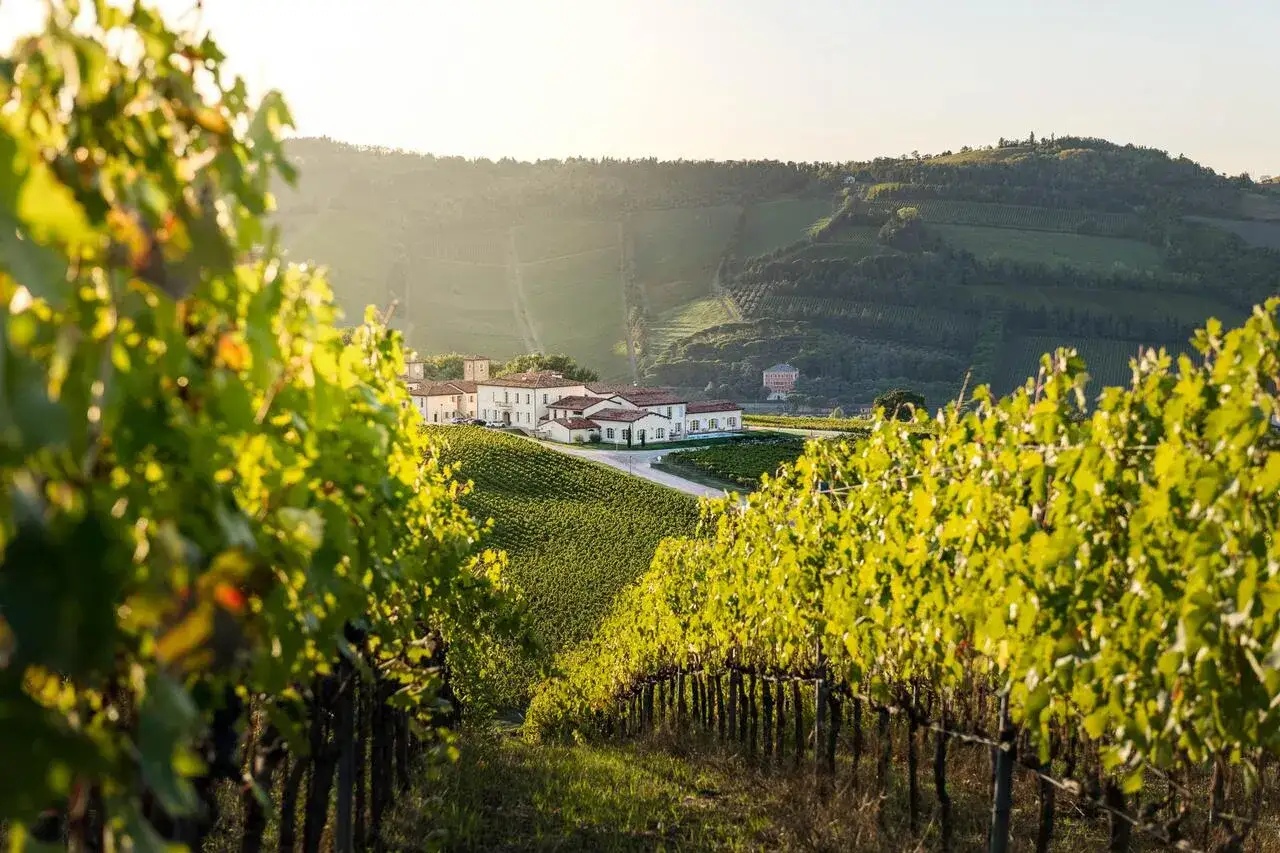 Vigneti rigogliosi abbracciano una tenuta, promettendo il best wine in Italy. Sole dorato illumina il paesaggio collinare.